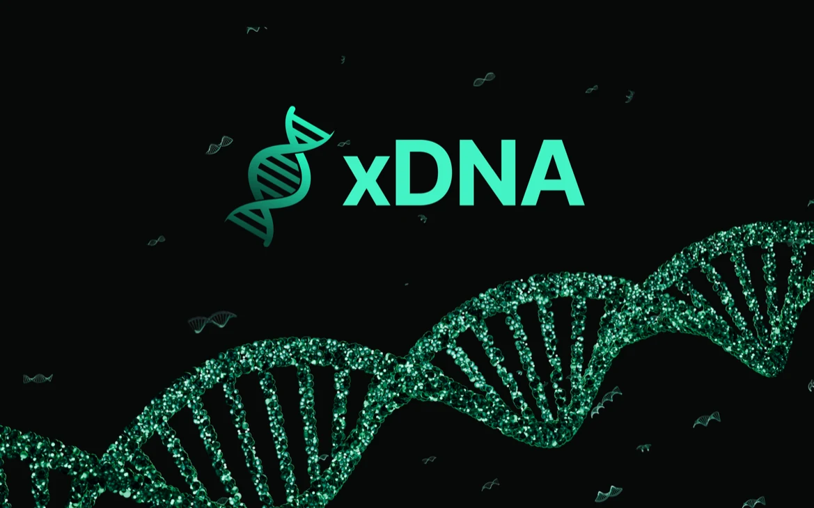 xDNA website design